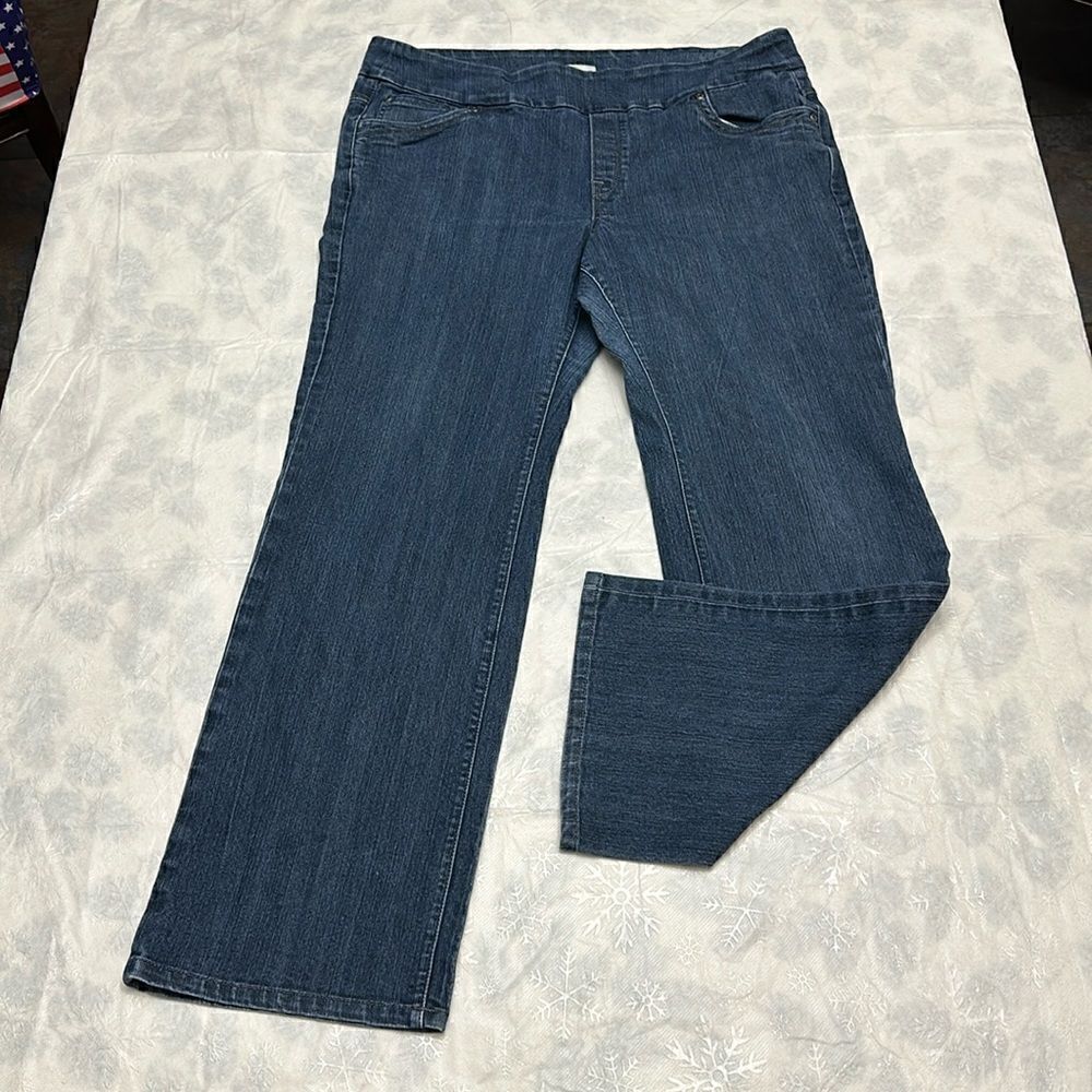 Blueberry women’s denim jeans with elastic waist size 16W